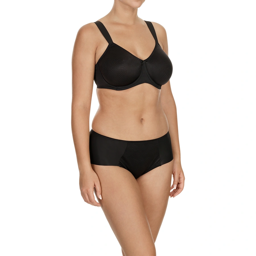 Essential Minimizer, Schwarz, large