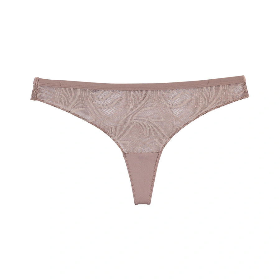 Gosina, Marrone, large