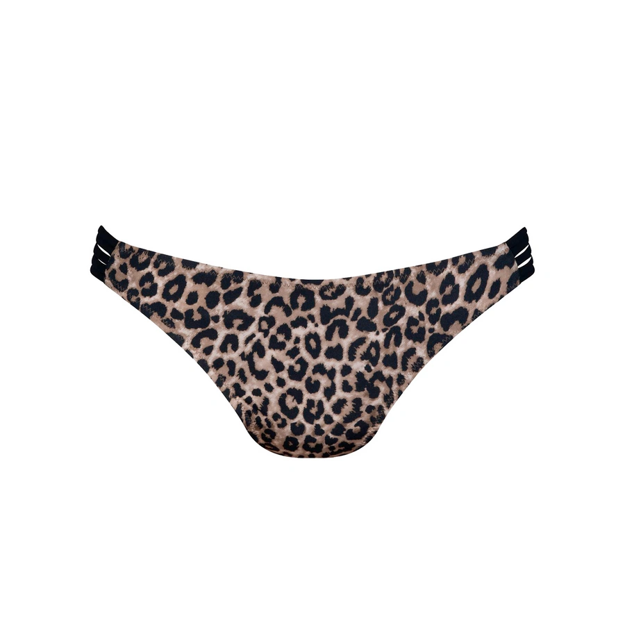 Animal Safari, Multicolore, large