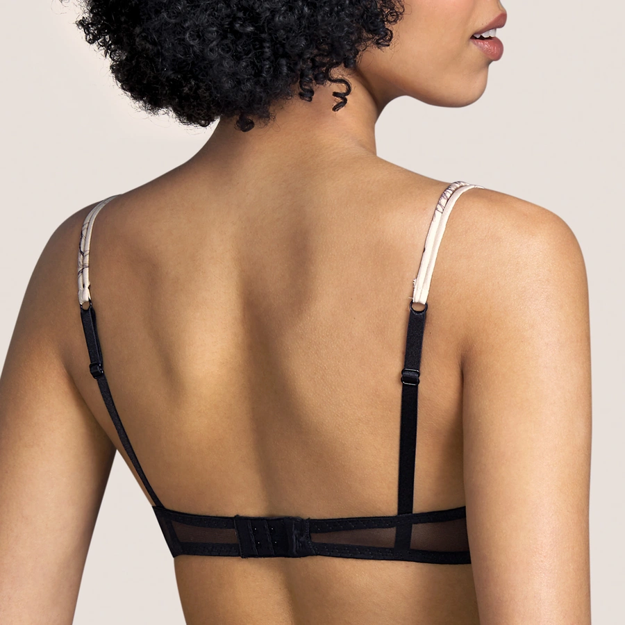 Wang, Schwarz, large