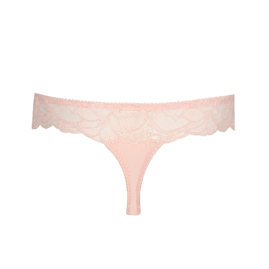 Madison, Rose, large