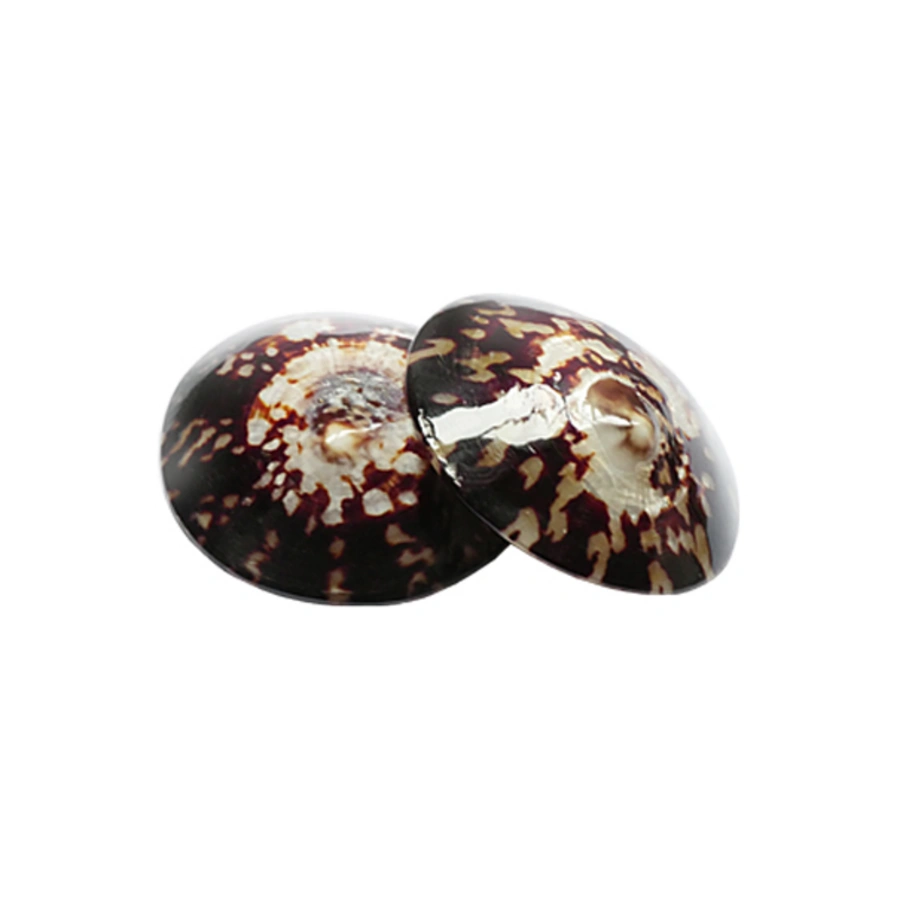 Breast Feeding Shells, Neutre, large