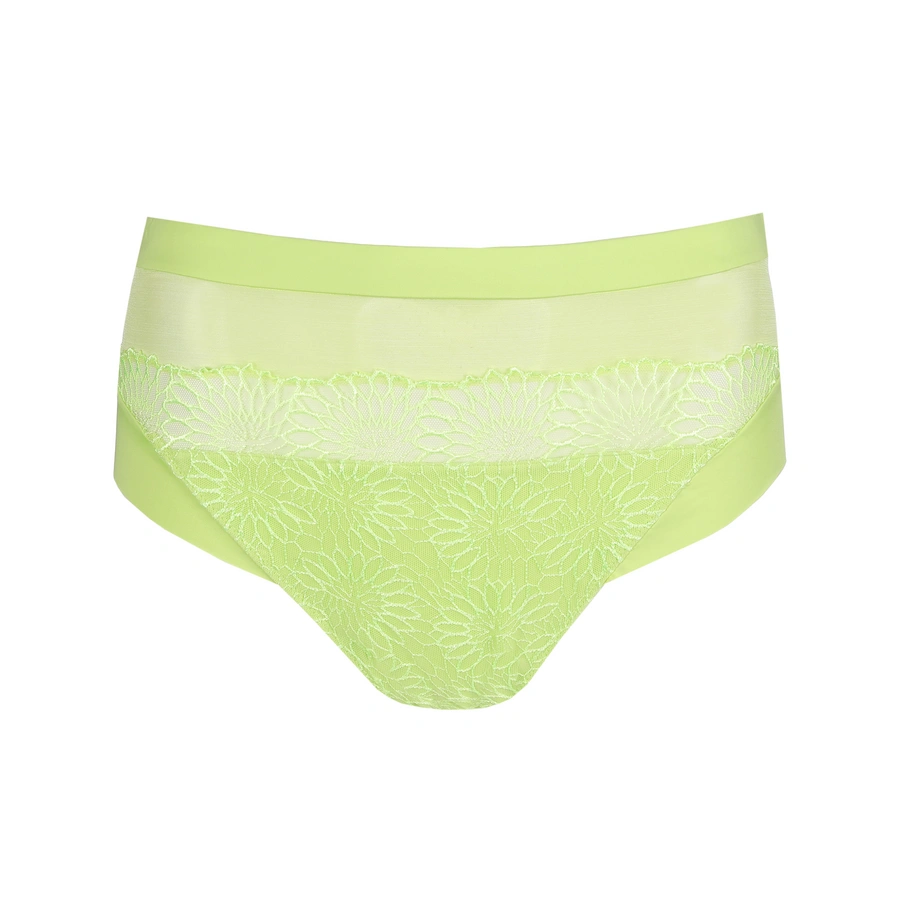 Sophora, Vert clair, large