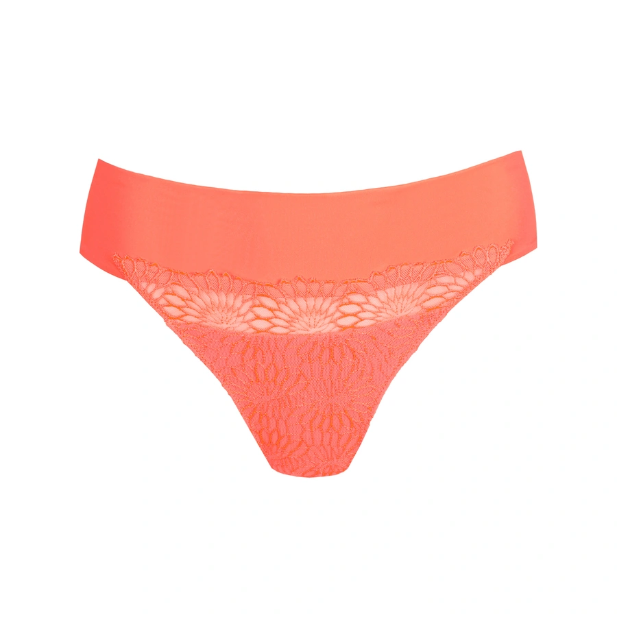 Sophora, Corail, large
