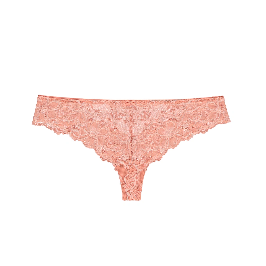 Luxury Desire, desert flower, large