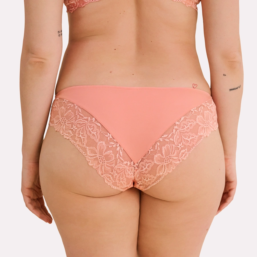 Luxury Desire, desert flower, large