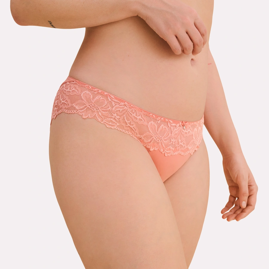 Luxury Desire, desert flower, large