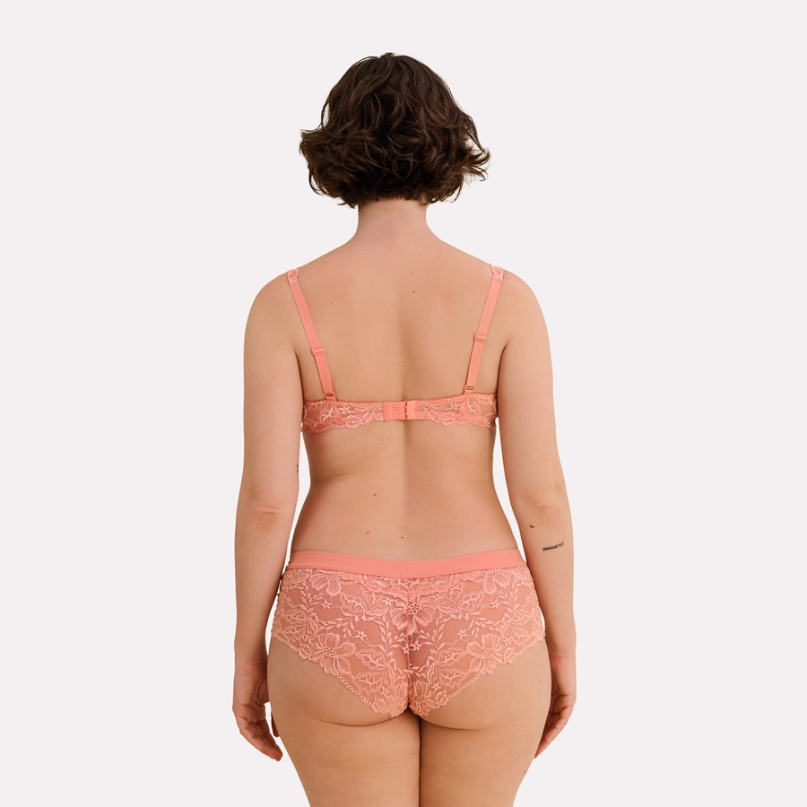 Luxury Desire, desert flower, large