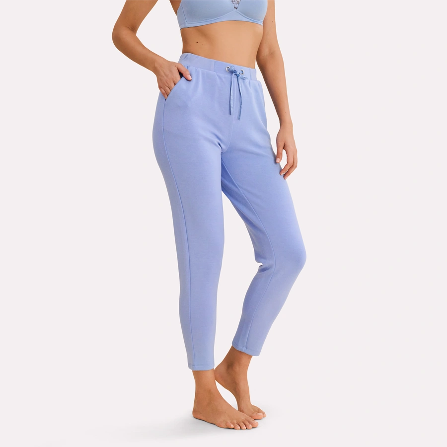 Sorrel, cornflower blue, large