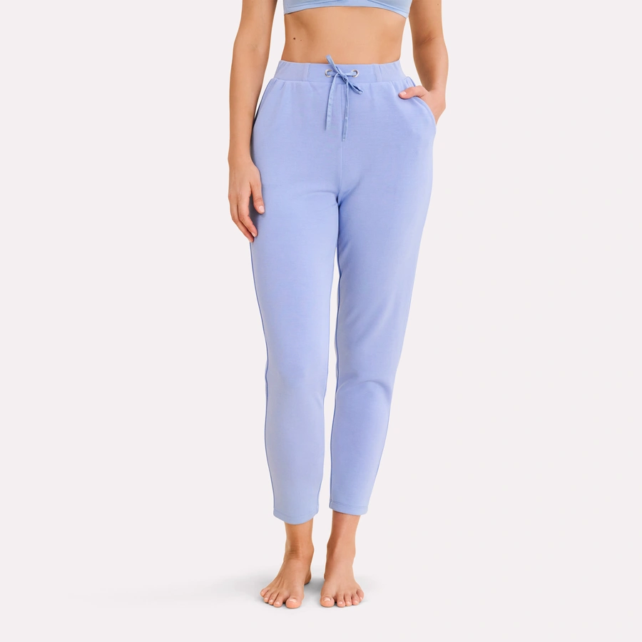 Sorrel, cornflower blue, large