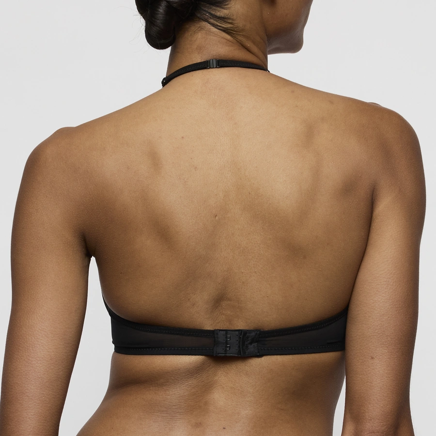 Daisy, Schwarz, large