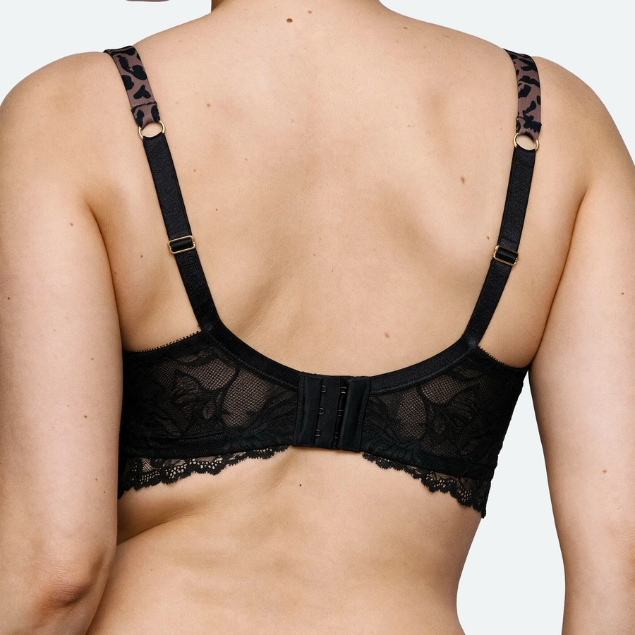 Daminia, Marron avec motifs, large