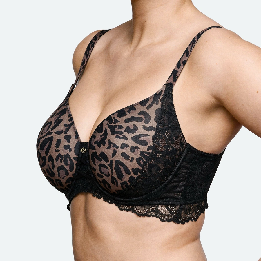 Daminia, Marron avec motifs, large