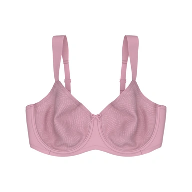 Essential Minimizer